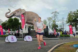 BIB: 
                            <button type="button" onclick="openModal(26528830)" class="btn btn-primary btn-sm float-right btn-popup" data-toggle="modal" data-target=".modal-high-quality">
                        <i class="fas fa-shopping-cart"></i> Add to Cart
                    </button>
                                            <button type="button" onclick="isThisMe(26528830, true)" class="btn btn-success btn-sm float-right btn-popup btn-isme hidden" data-toggle="tooltip" data-placement="bottom" title="นี่คือรูปของคุณใช่ไหม คลิกที่นี่เพื่อเอาเข้าอัลบั้ม">
                        <i class="fas fa-plus"></i> Add to album
                    </button>
                    <button type="button" onclick="isThisMe(26528830, false)" class="btn btn-warning btn-sm float-right btn-popup btn-isnotme hidden">
                        <i class="fas fa-ban"></i> Remove from album
                    </button>